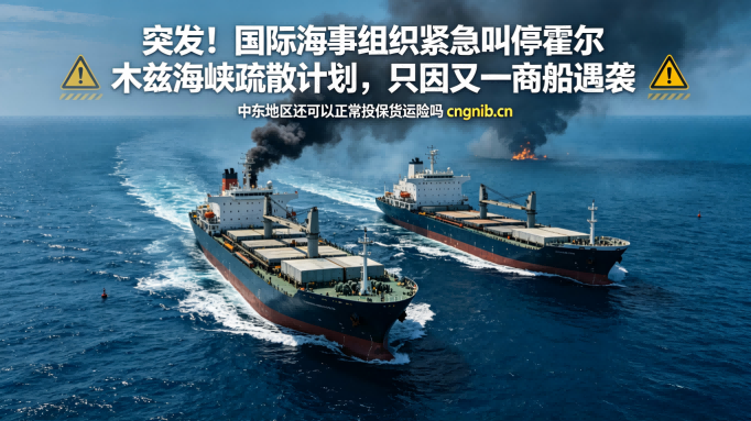 突发！国际海事组织紧急叫停霍尔木兹海峡疏散计划，一艘商船在阿曼湾附近海域遭到不明投射物袭击，袭击事件让所有希望瞬间冻结